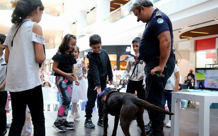 Sakarya’da Pati Festivali’nde renkli görüntüler Sakarya’da Pati Festivali’nde renkli görüntüler