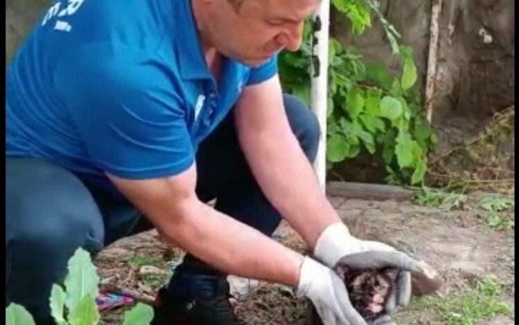 Kayseri İtfaiyesi kediyi kurtardı Kayseri İtfaiyesi kediyi kurtardı