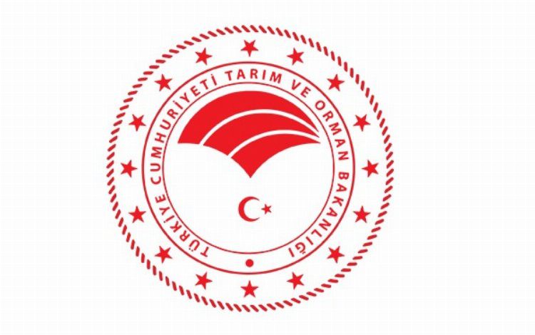 Tarım ve Orman Bakanlığı: “Buğday arzında sıkıntı yaşanmayacak” Tarım ve Orman Bakanlığı: “Buğday arzında sıkıntı yaşanmayacak”