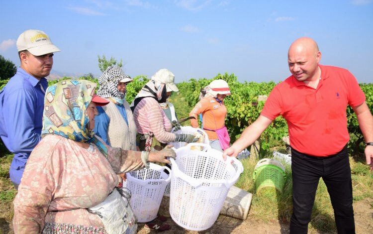 Manisa’da emekçi üreticiye hasat ziyareti Manisa’da emekçi üreticiye hasat ziyareti