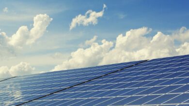 Şanlıurfa ekonomisi güneş tarlaları ile üs olacak