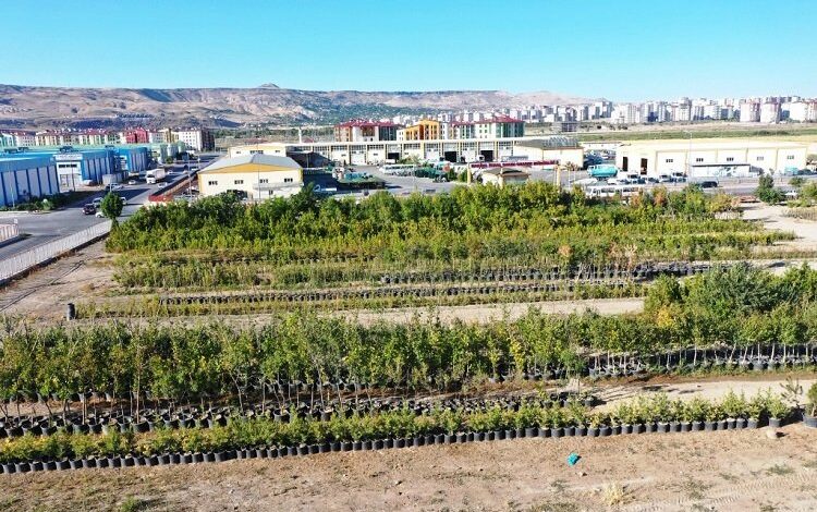Kayseri Kocasinan ‘yeşil’ rekor kıracak Kayseri Kocasinan ‘yeşil’ rekor kıracak