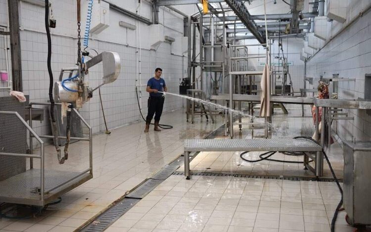 Keşan Mezbahası’nda 482 adet kurban kesildi Keşan Mezbahası’nda 482 adet kurban kesildi