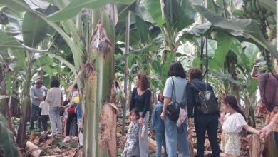 Milli eğitimden Türkiye’de bir ilk! Çağdaş terapi ve doğaya uyum projesi