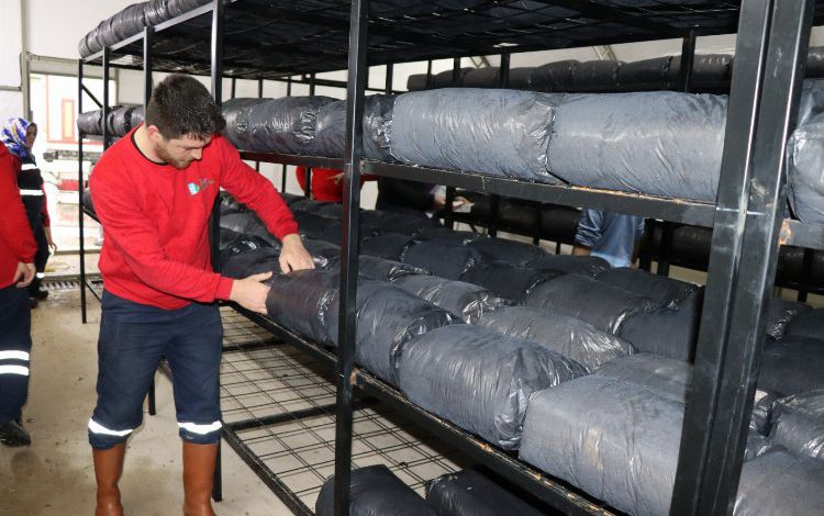 Kocaeli İzmit Belediyesi, istiridye mantarında ikinci seri üretime başladı Kocaeli İzmit Belediyesi, istiridye mantarında ikinci seri üretime başladı