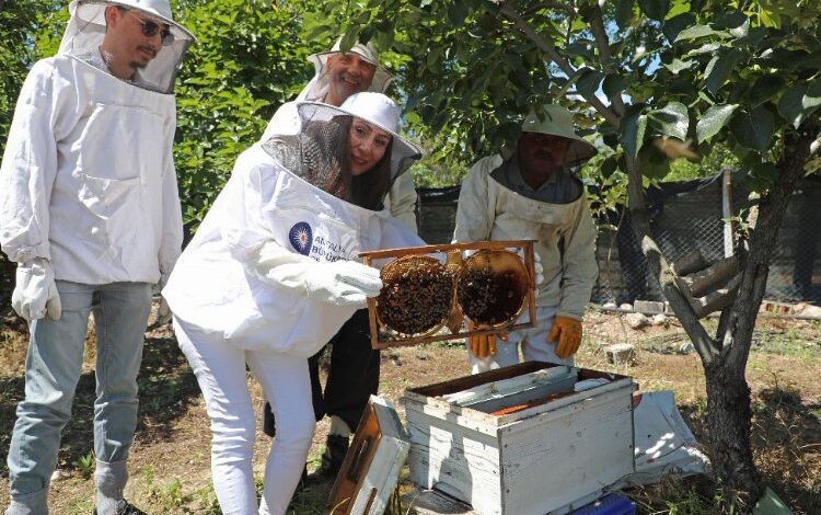 Kovan başında eğitim