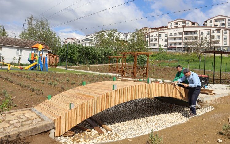 İzmit’te Lavanta Parkı’nda çalışmalar sürüyor İzmit’te Lavanta Parkı’nda çalışmalar sürüyor