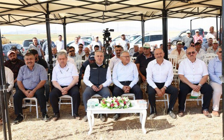 Kayseri Felahiye’de nohut hasadı başladı