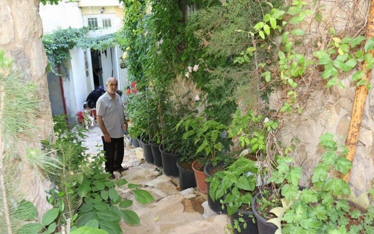 Tarihi sokağı cennet bahçesine çevirdiler Tarihi sokağı cennet bahçesine çevirdiler