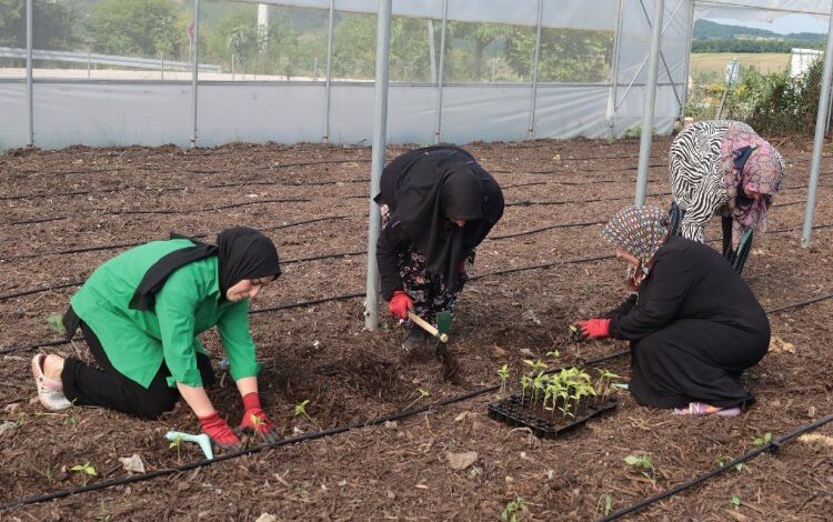 Kocaeli’den kadın girişimcilere tarımsal destek… Ata tohumları toprakla buluşturuldu