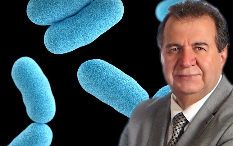 Anne sütündeki mucize bakteri: Akkermansia Anne sütündeki mucize bakteri: Akkermansia