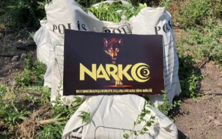 Bursa NARKO’dan şafak operasyonu: 135 gözaltı Bursa NARKO’dan şafak operasyonu: 135 gözaltı