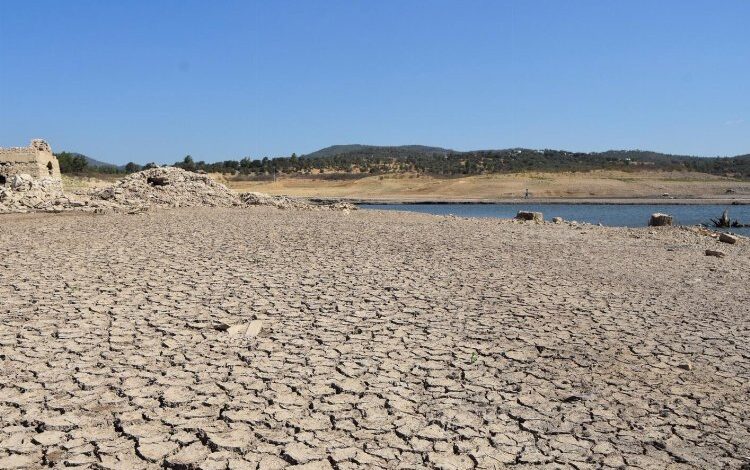 Mumcular Barajı’nda su bitti, baraj kapatıldı! Mumcular Barajı’nda su bitti, baraj kapatıldı!