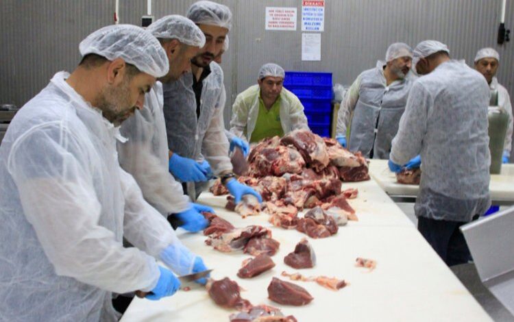 Hayat Ağacı Derneği vekaletle bu yıl da kesti Hayat Ağacı Derneği vekaletle bu yıl da kesti