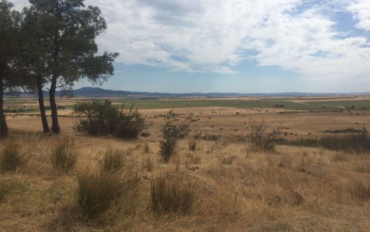 TEMA Edirne’den seslendi: Tarım toprakları korunmalı!