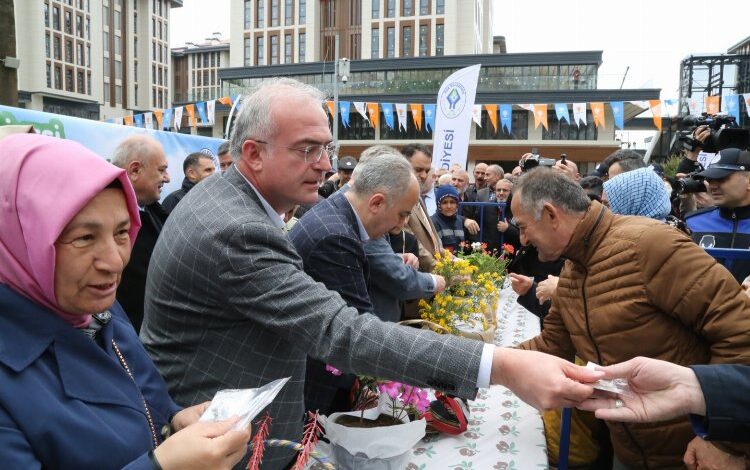 Rize’de 5 milyon ata tohumu dağıtıldı Rize’de 5 milyon ata tohumu dağıtıldı