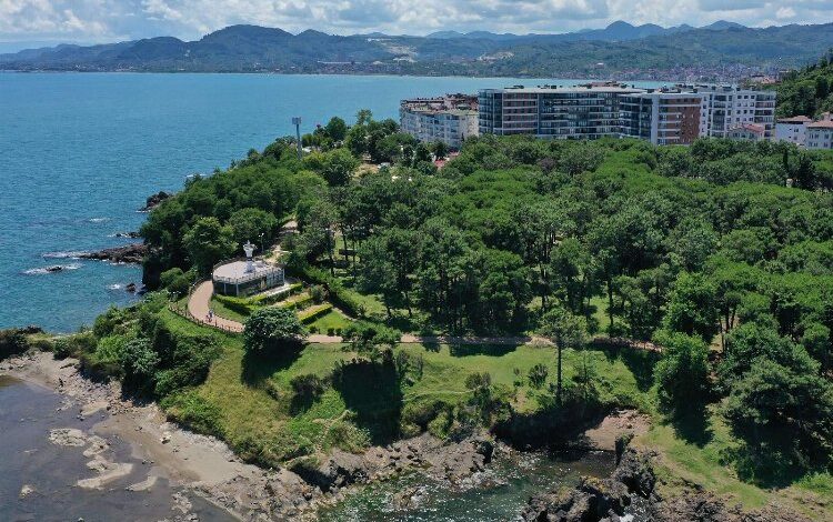 Çamlık vatandaşların gözdesi oldu