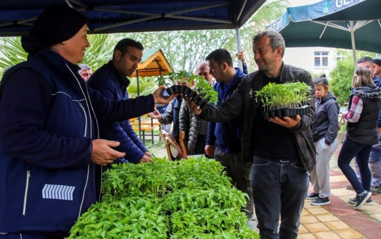 Ücretsiz fideyi alan tarlaya koştu Ücretsiz fideyi alan tarlaya koştu
