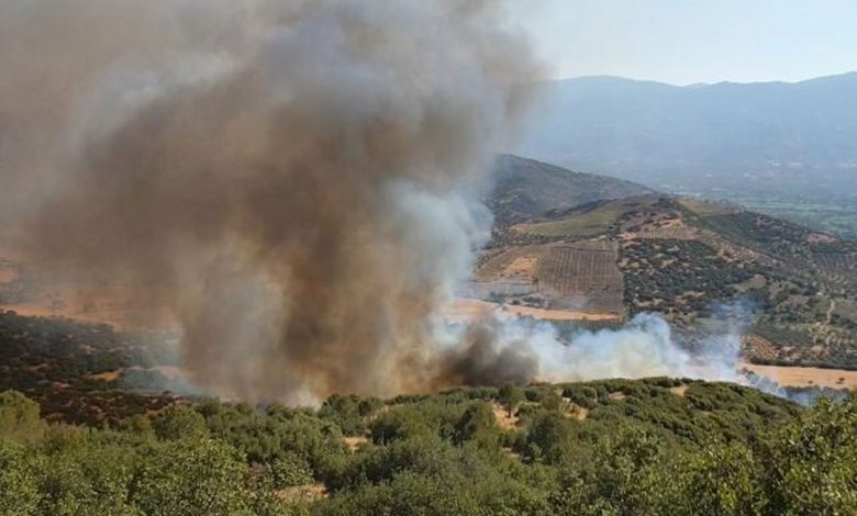 Aydın Nazilli’de arazi yangını ormana sıçradı Aydın Nazilli’de arazi yangını ormana sıçradı