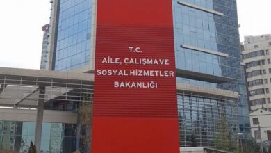 Aile’den kamuya 491 atama