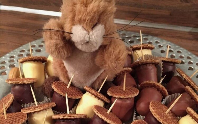 Çocuklar, ‘Sincabın Meşeli Mutfağı’nda buluşacak