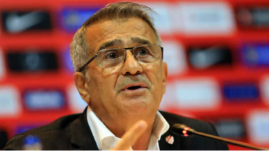 Şenol Güneş’ten EURO 2020 sonrası açıklamalar