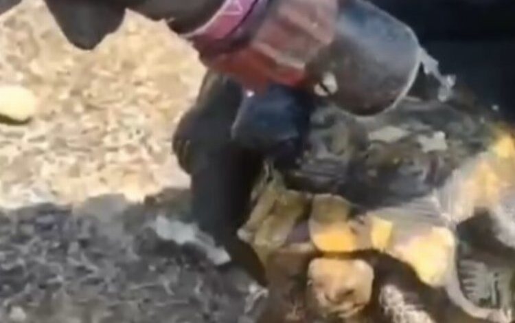 Kayseri Büyükşehir’den şefkat eli Kayseri Büyükşehir’den şefkat eli