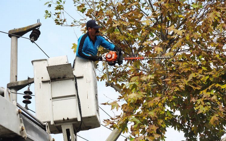 Sakarya’da şehire sonbahar dokunuşu Sakarya’da şehire sonbahar dokunuşu