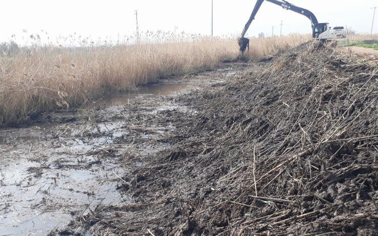 Derelere yaz temizliği