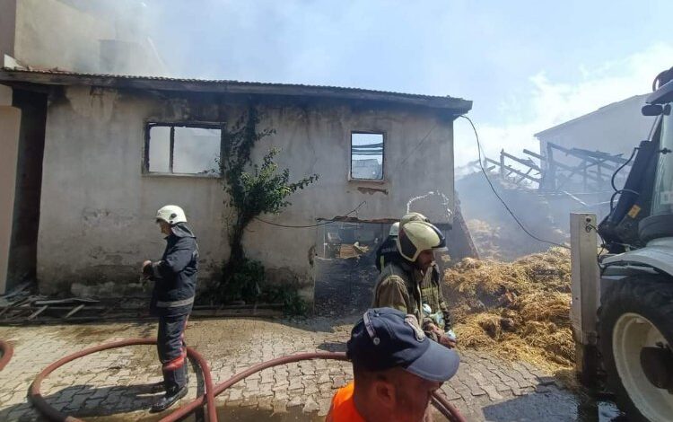 Bursa Orhaneli’de korkutan yangın!