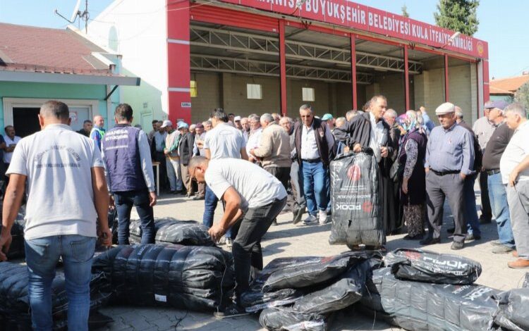 Kula ve Selendili üreticilere zeytin hasat örtüsü