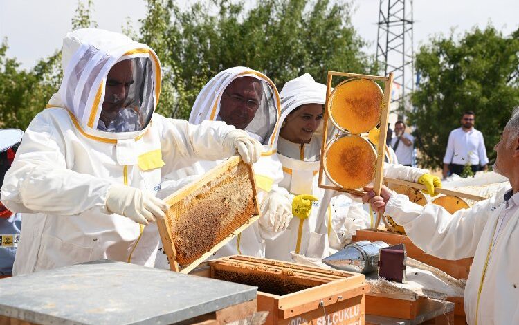Konya Selçuklu’da ilk hasat yapıldı… 1 ton bal bekleniyor