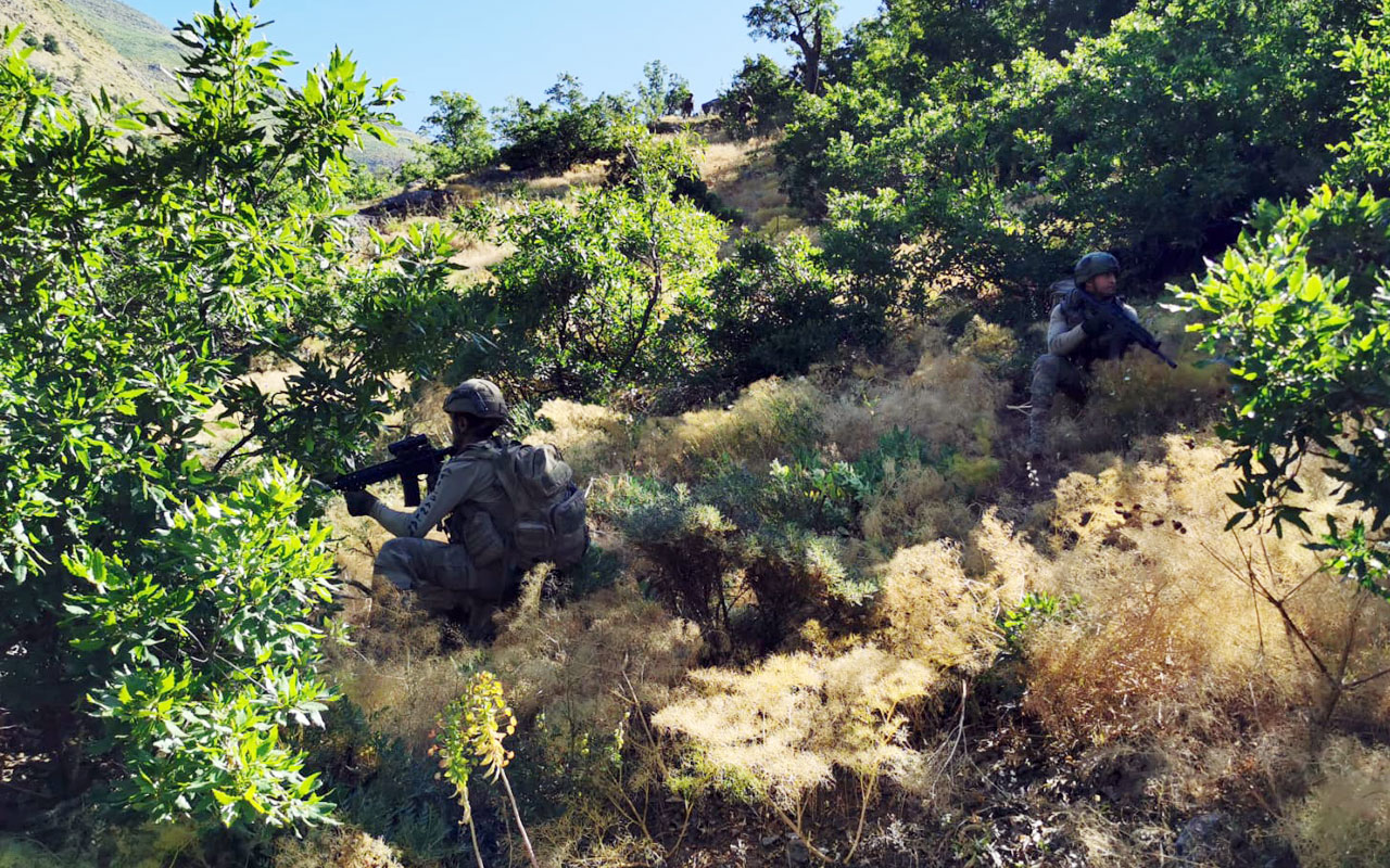 Pençe-Yıldırım operasyonunda 2 terörist etkisiz hale getirildi