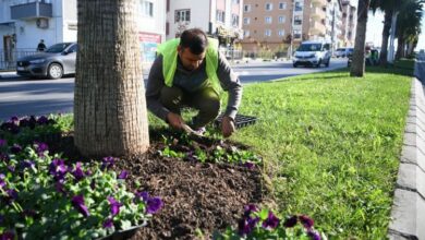 Çayırova Park ve Bahçeler’den kışa hazırlık
