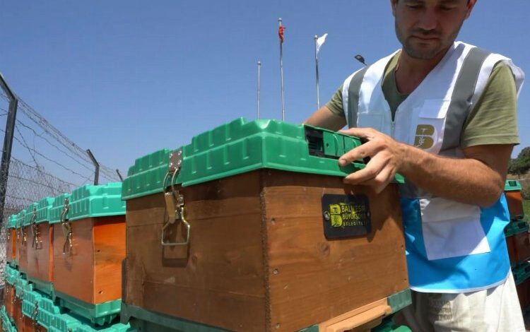 Kadın üreticilere ücretsiz kovan Kadın üreticilere ücretsiz kovan