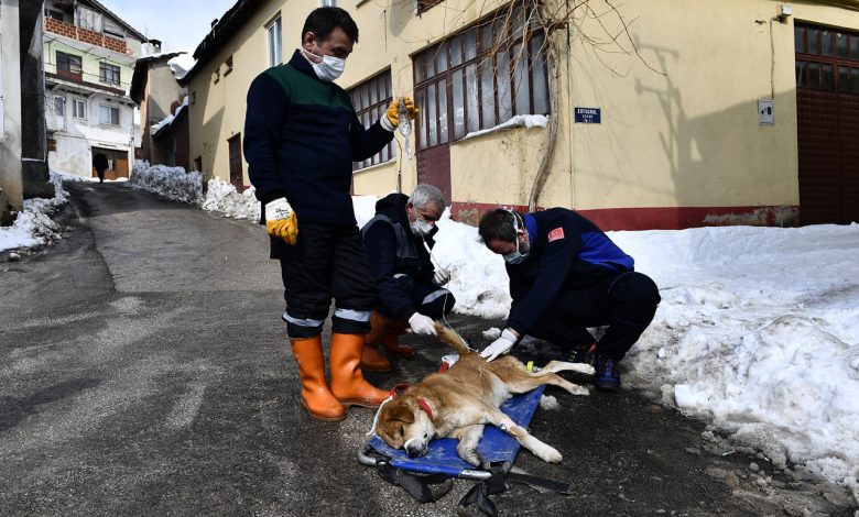 Bursa Osmangazi pandemide can dostları unutmadı