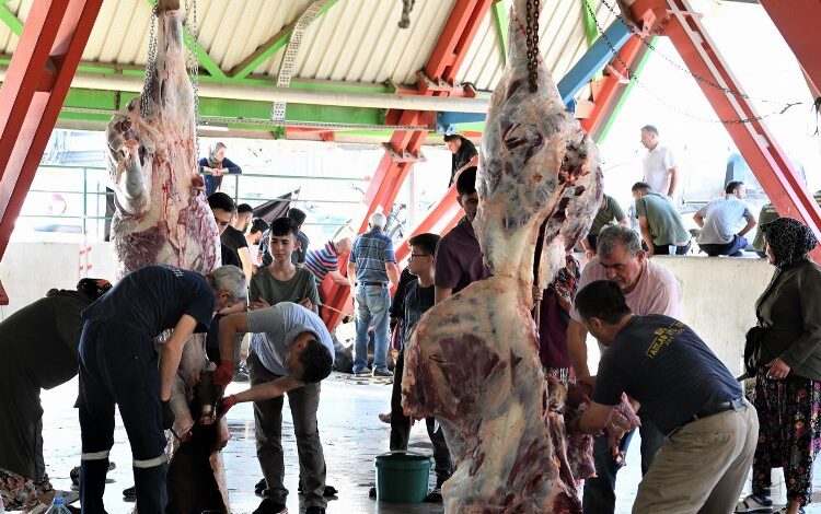 Osmangazi’de hijyenik kurban kesimi