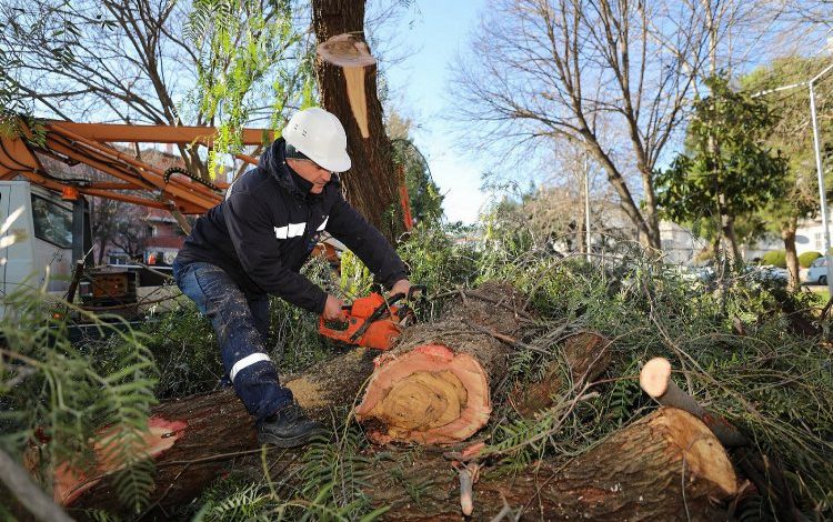 İzmir Gaziemir’de atık dallar evleri ısıtacak İzmir Gaziemir’de atık dallar evleri ısıtacak