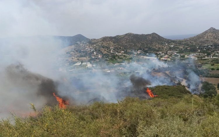 KKTC’de yangın! Rüzgarla yayıldı!