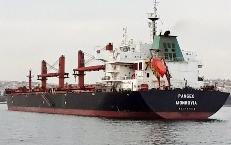 Dökme yük gemisi Tekirdağ’da karaya oturdu