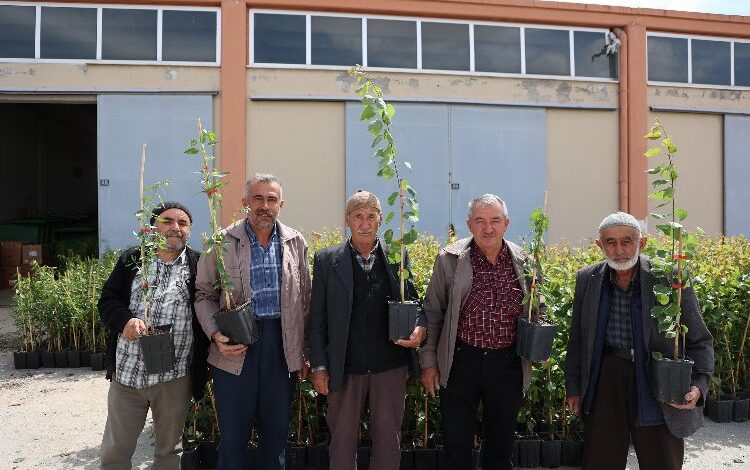 Çiftçiye ürün desteği Çiftçiye ürün desteği