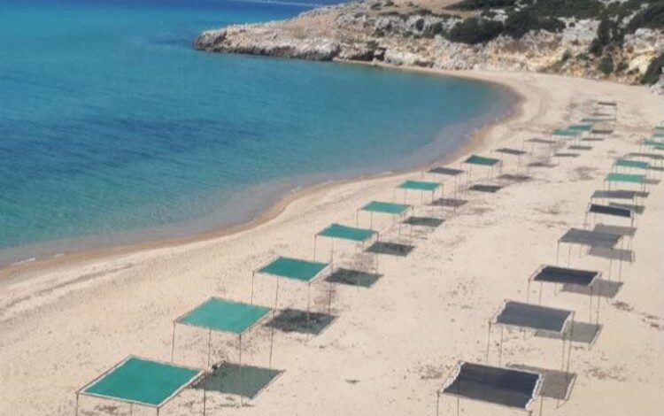 İtalyan Koyu Mecidiye’ye kazandırıldı