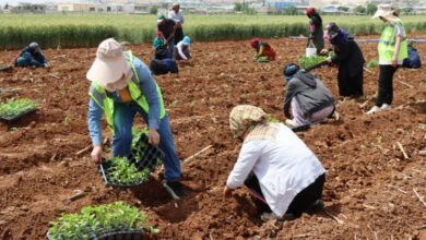 200 bin isot fidesi toprakla buluştu