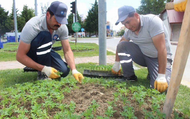 Korkuteli çiçeklerle renklendi