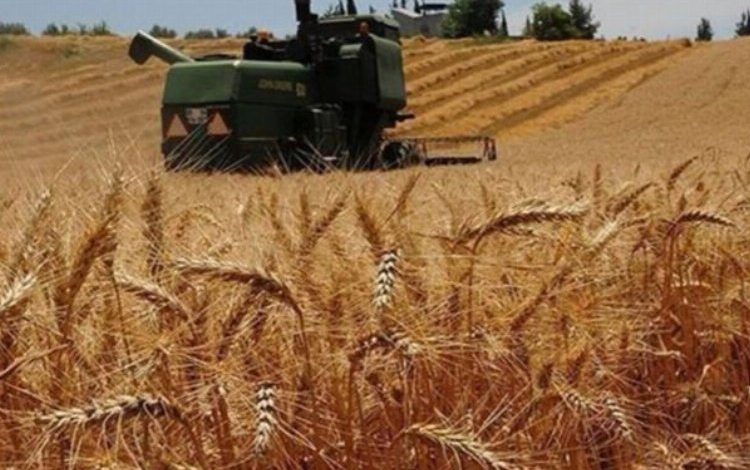 Bazı yağlarda Gümrük Vergisi sıfırlandı Bazı yağlarda Gümrük Vergisi sıfırlandı