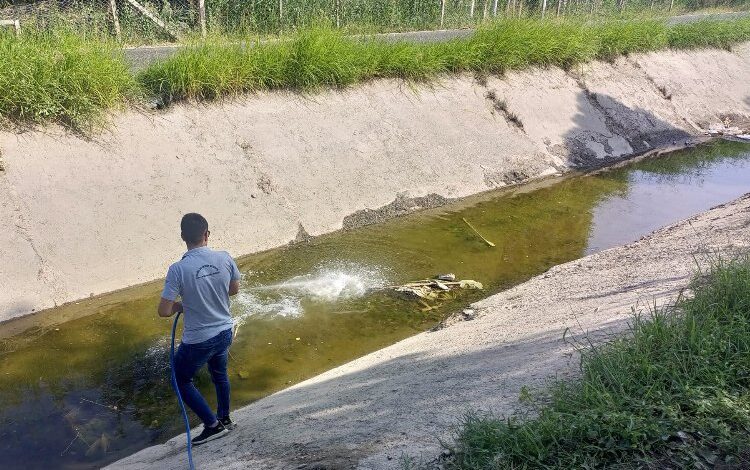 Manisa Salihli’de ilaçlamalar sürüyor