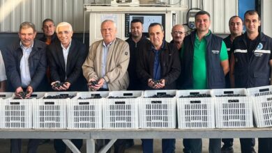 Marmarabirlik’ten zeytin üreticilerine ikinci dilim ödeme 24 Kasım’da