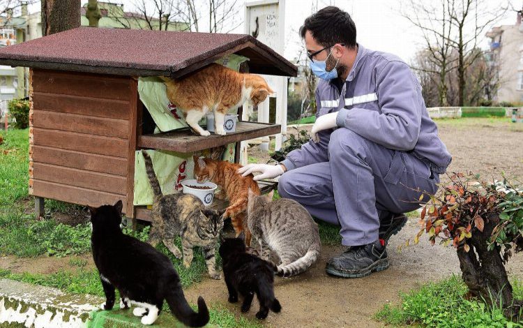 Bursa’da can dostlara ‘Yıldırım’ şefkati Bursa’da can dostlara ‘Yıldırım’ şefkati
