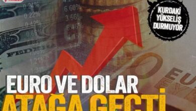 Dolar yükselecek mi? Türk lirası değerlenecek mi?