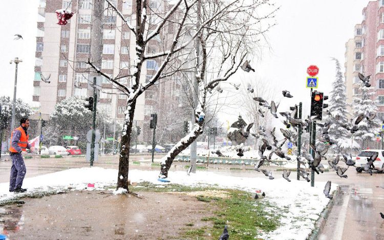 Bursa Yıldırım’da can dostları unutulmadı Bursa Yıldırım’da can dostları unutulmadı